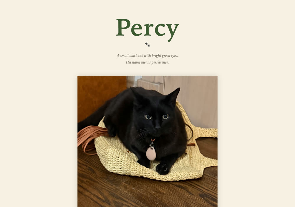Percy's website: a black cat sitting in a straw bag, on warm cream paper